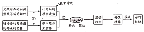 德优题库