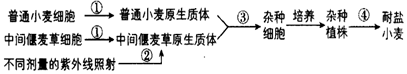 德优题库