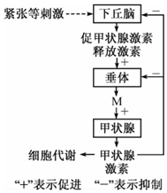 德优题库