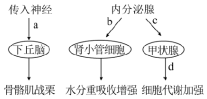 德优题库