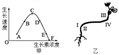 德优题库