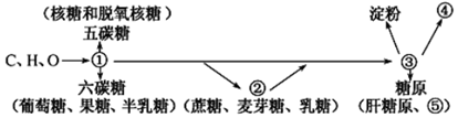德优题库