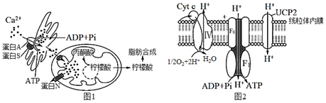 德优题库