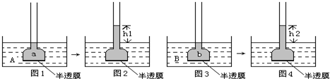 德优题库