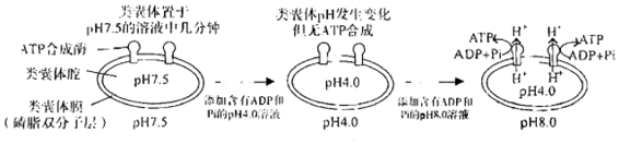德优题库