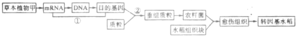 德优题库