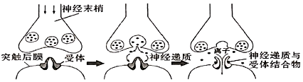 德优题库