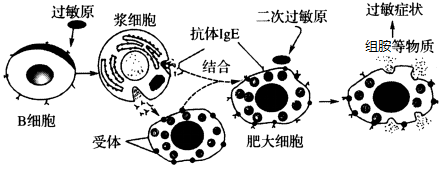 德优题库