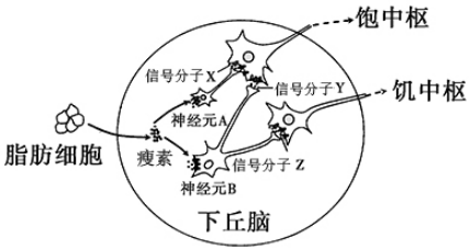 德优题库
