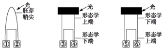 德优题库