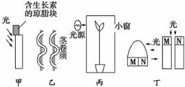德优题库