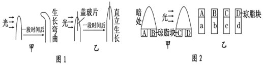 德优题库