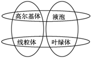 德优题库
