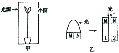 德优题库