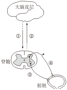 德优题库