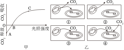 德优题库