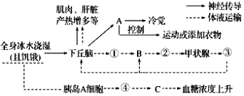 德优题库