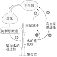 德优题库