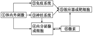 德优题库