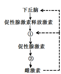 德优题库