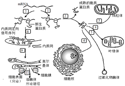 德优题库