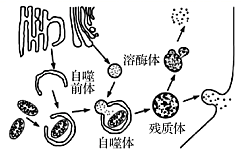 德优题库