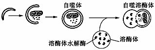 德优题库