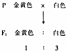德优题库