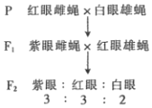德优题库