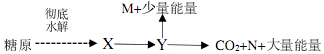 德优题库