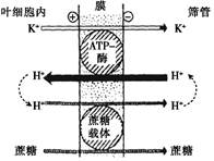 德优题库