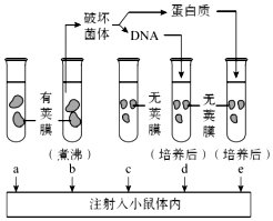 德优题库