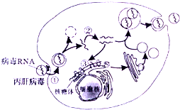 德优题库