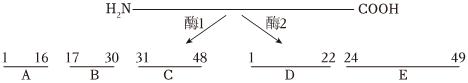 德优题库