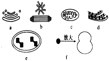 德优题库