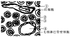 德优题库