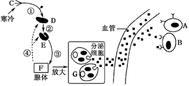 德优题库