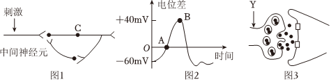 德优题库