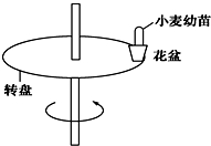 德优题库