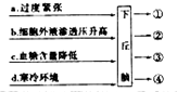 德优题库