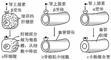 德优题库