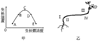 德优题库