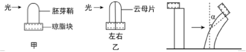 德优题库