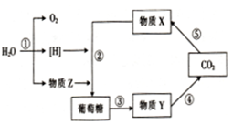 德优题库