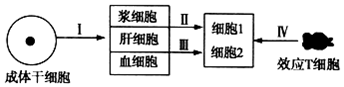 德优题库