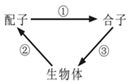 德优题库