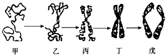 德优题库