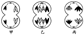 德优题库