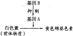 德优题库