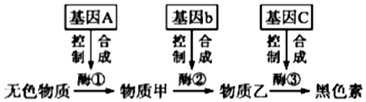 德优题库